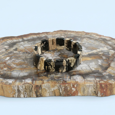 Bracelet with petrified palm root