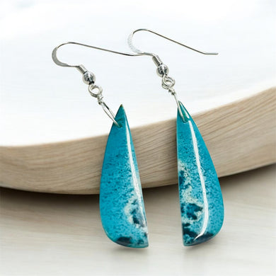 Earrings with blue petrified opalized wood