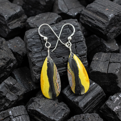 Earrings with bubble bee jasper