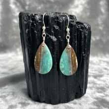 Earrings with petrified Opalized wood