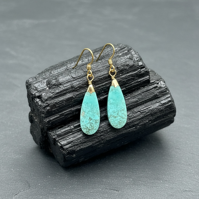 Earrings with petrified Opalized wood