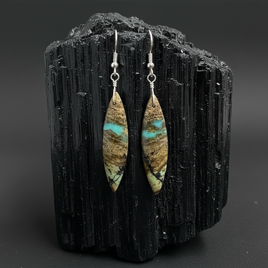 Earrings with petrified Opalized wood