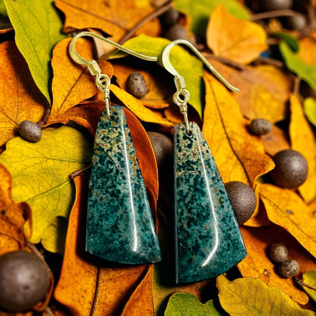 Earrings with ocean Jasper