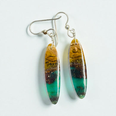 Earrings with petrified opalized wood
