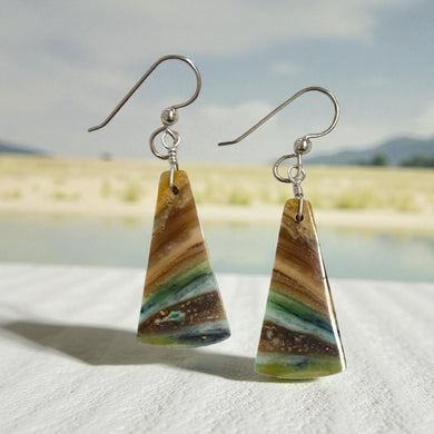 Earrings with multi color opalized wood