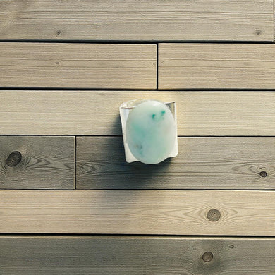 Ring with Opalized wood