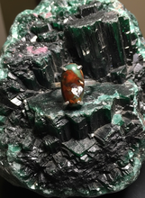 Ring with multi color petrified opalized wood
