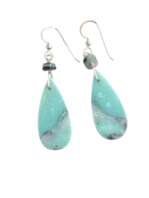 Earrings with blue petrified Opalized wood