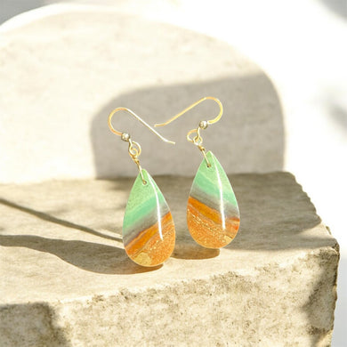 Earrings with petrified Opalized wood