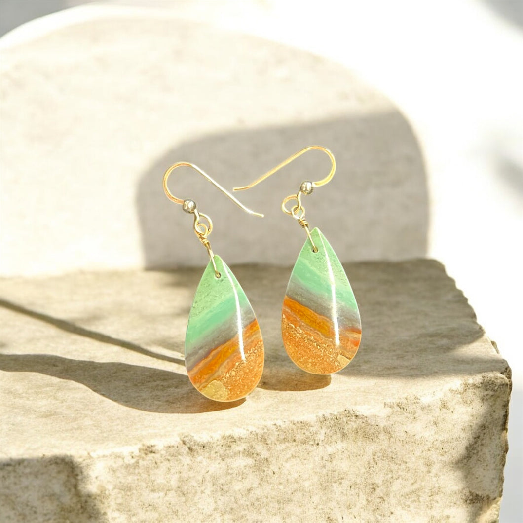 Earrings with petrified Opalized wood