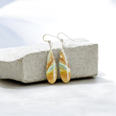 Earrings with blue petrified Opalized wood