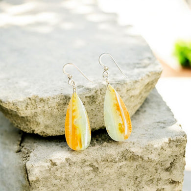 Earrings with petrified Opalized wood