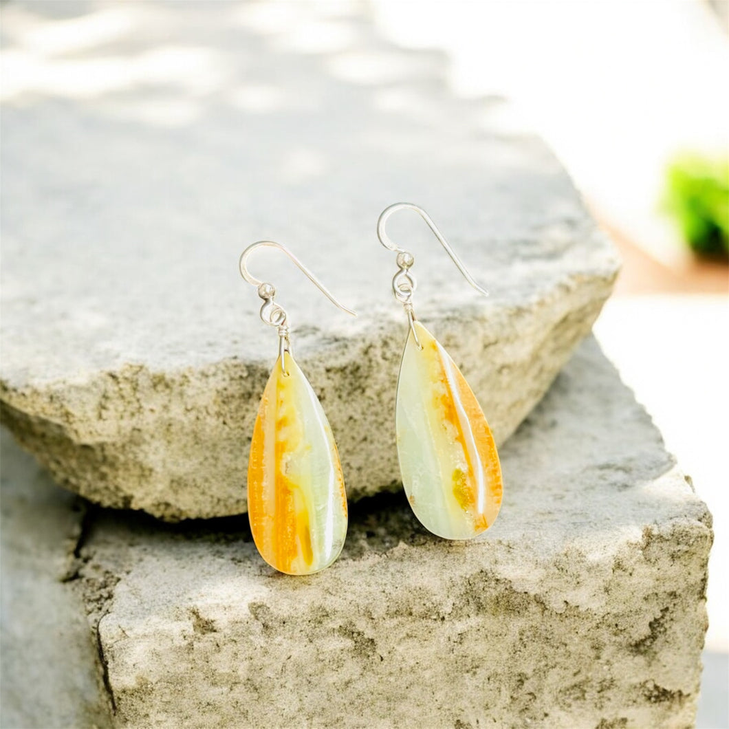 Earrings with petrified Opalized wood