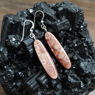 Earring with fossil