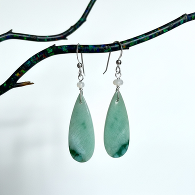 Earrings with petrified Opalized wood