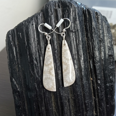 Earring with fossil