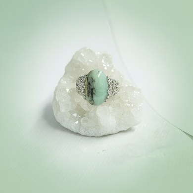 Ring with petrified opalized wood