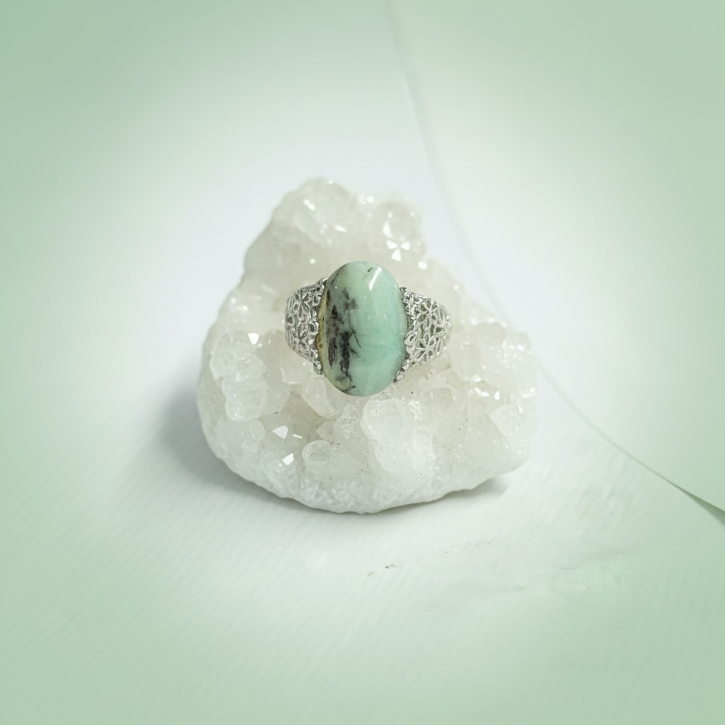 Ring with petrified opalized wood