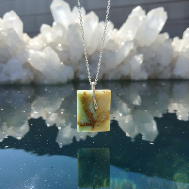 Pendant with natural petrified opalized wood