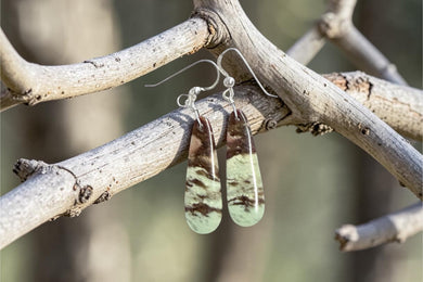 Earrings with petrified Opalized wood