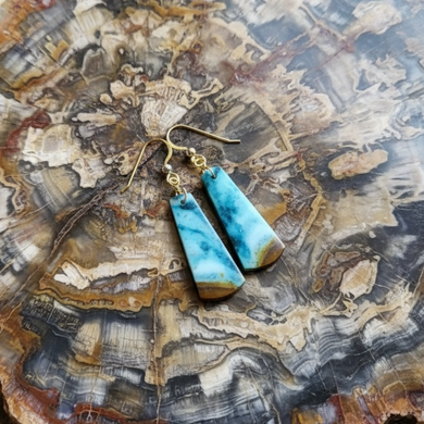 Earrings with blue petrified Opalized wood