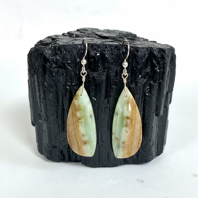 Earrings with petrified Opalized wood