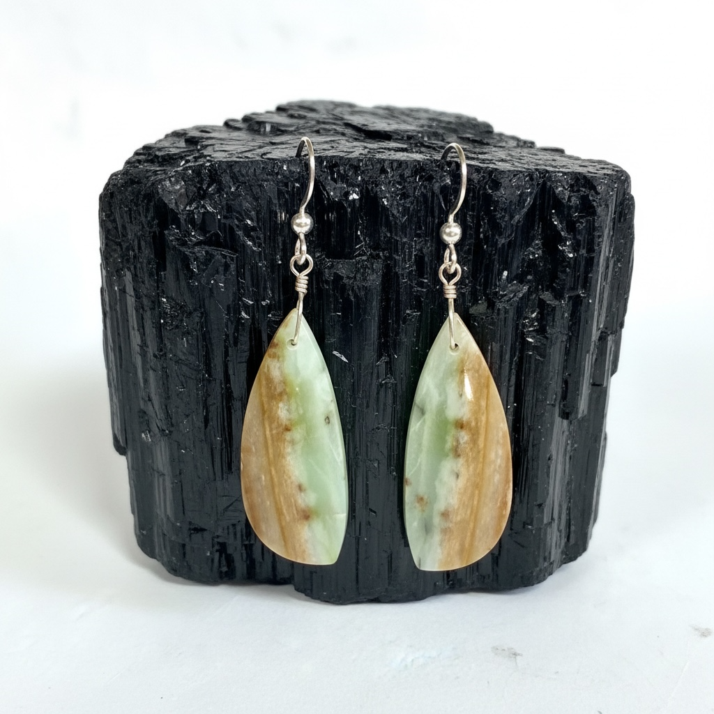 Earrings with petrified Opalized wood