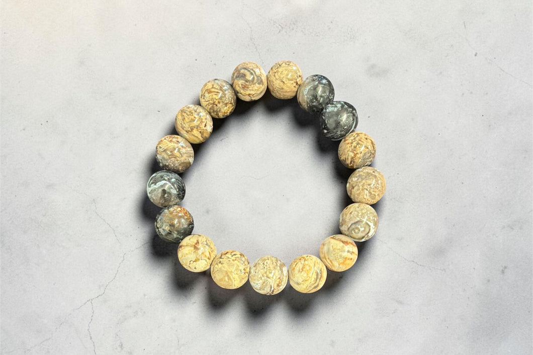 Bracelet with petrified palm root