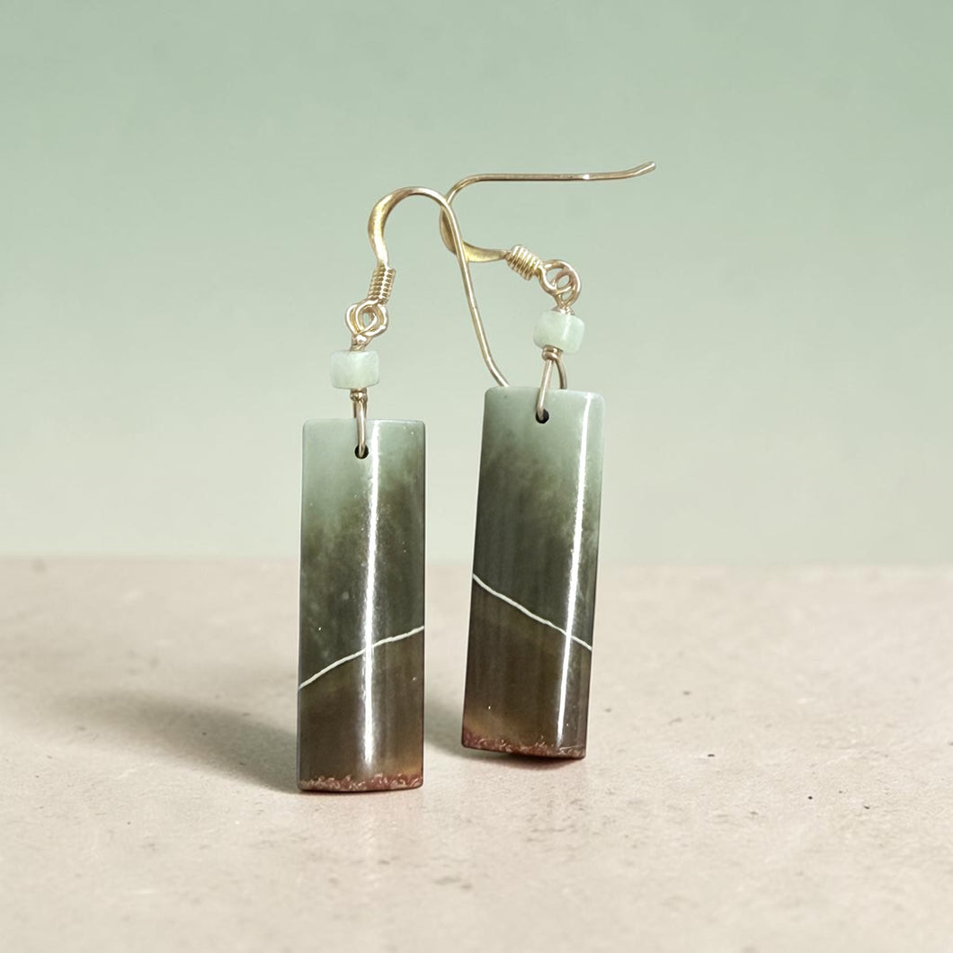 Earrings with picture jasper