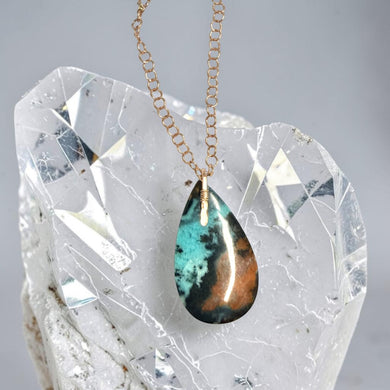 Pendant with dark petrified opalized wood