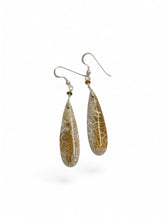 Earring with colorful druzy fossils coral beads