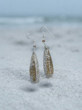 Earring with colorful druzy fossils coral beads
