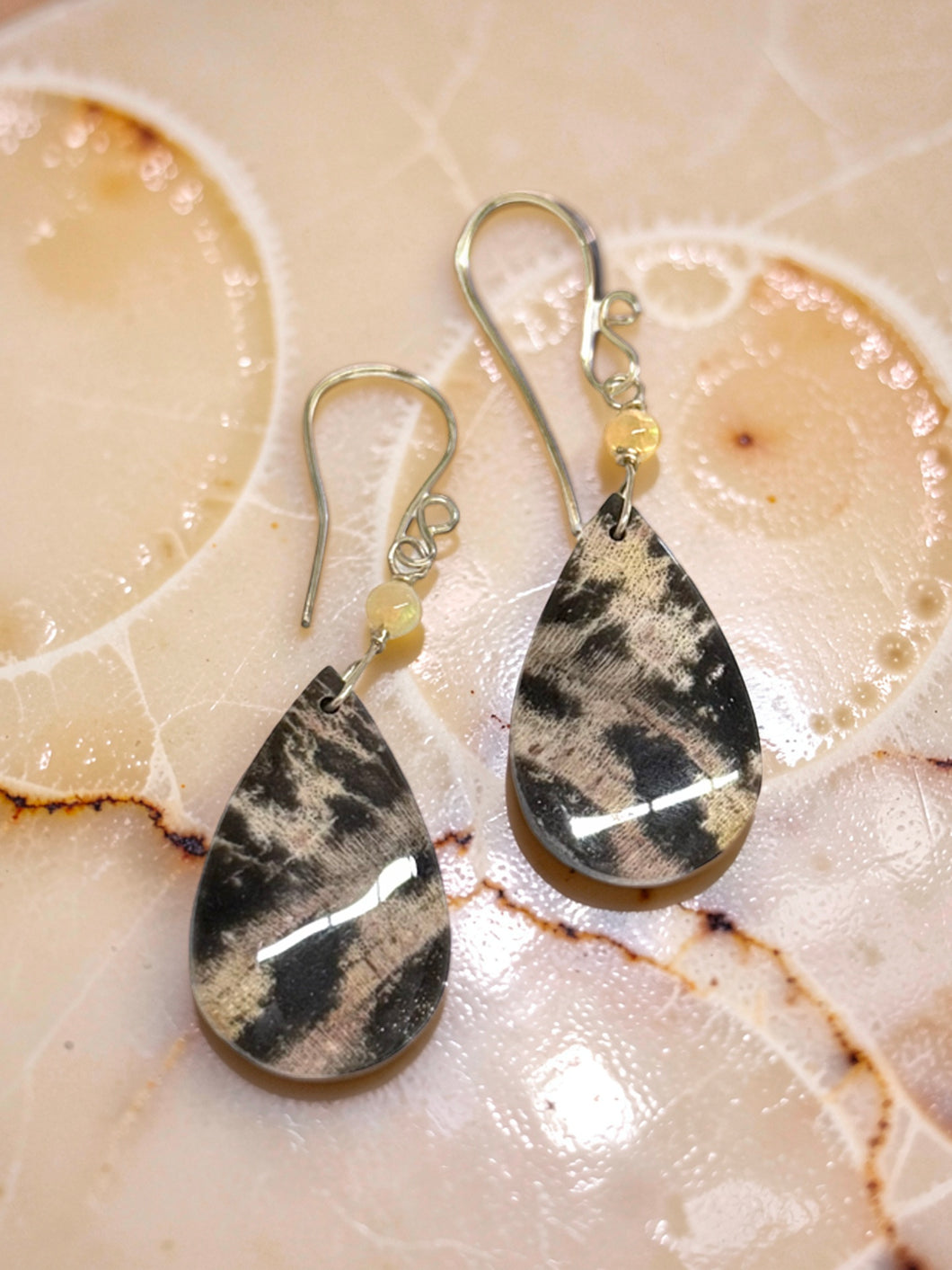Earrings with petrified palm root