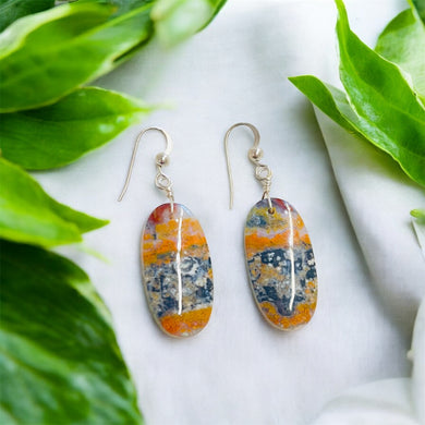 Earring with Autumn colors of opalized petrified wood