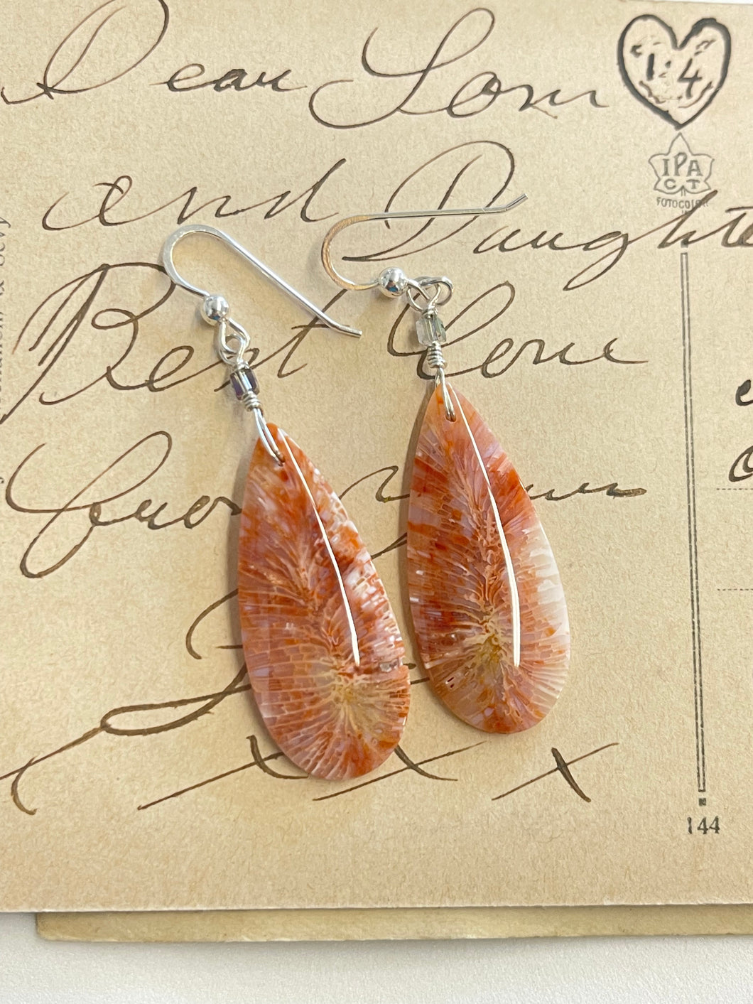 Earrings with pink fossil