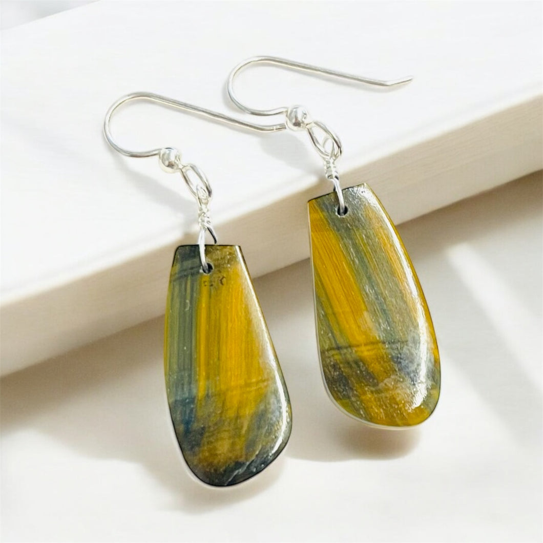 Earrings with Tiger’s eye