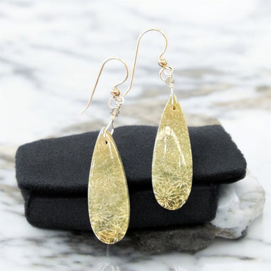 Earring with fossil beads