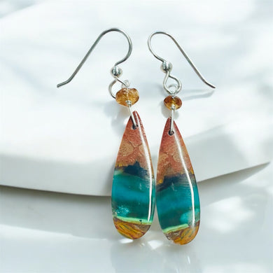 Earrings with petrified opalized wood