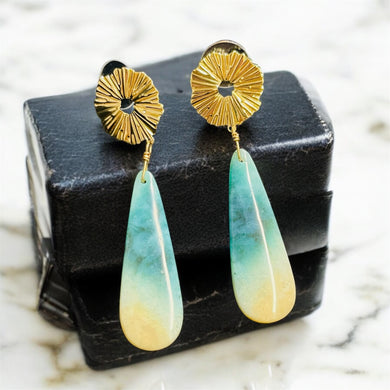 Earrings with long petrified Opalized wood