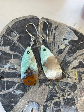 Earrings with opalized colorful wood
