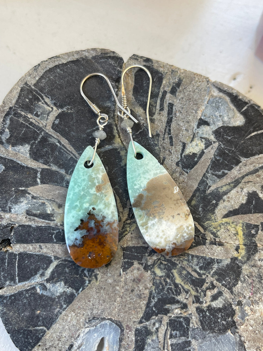 Earrings with opalized colorful wood