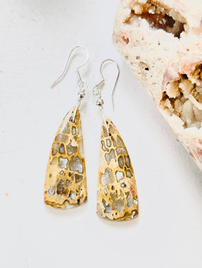 Earrings with small size pine root
